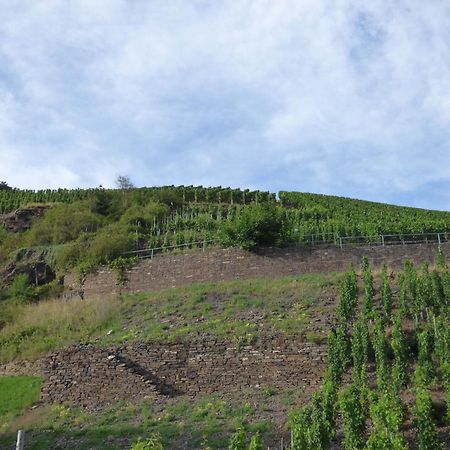 Relaxen Im Weindorf Mayschoss Fewo 4 Bagian luar foto